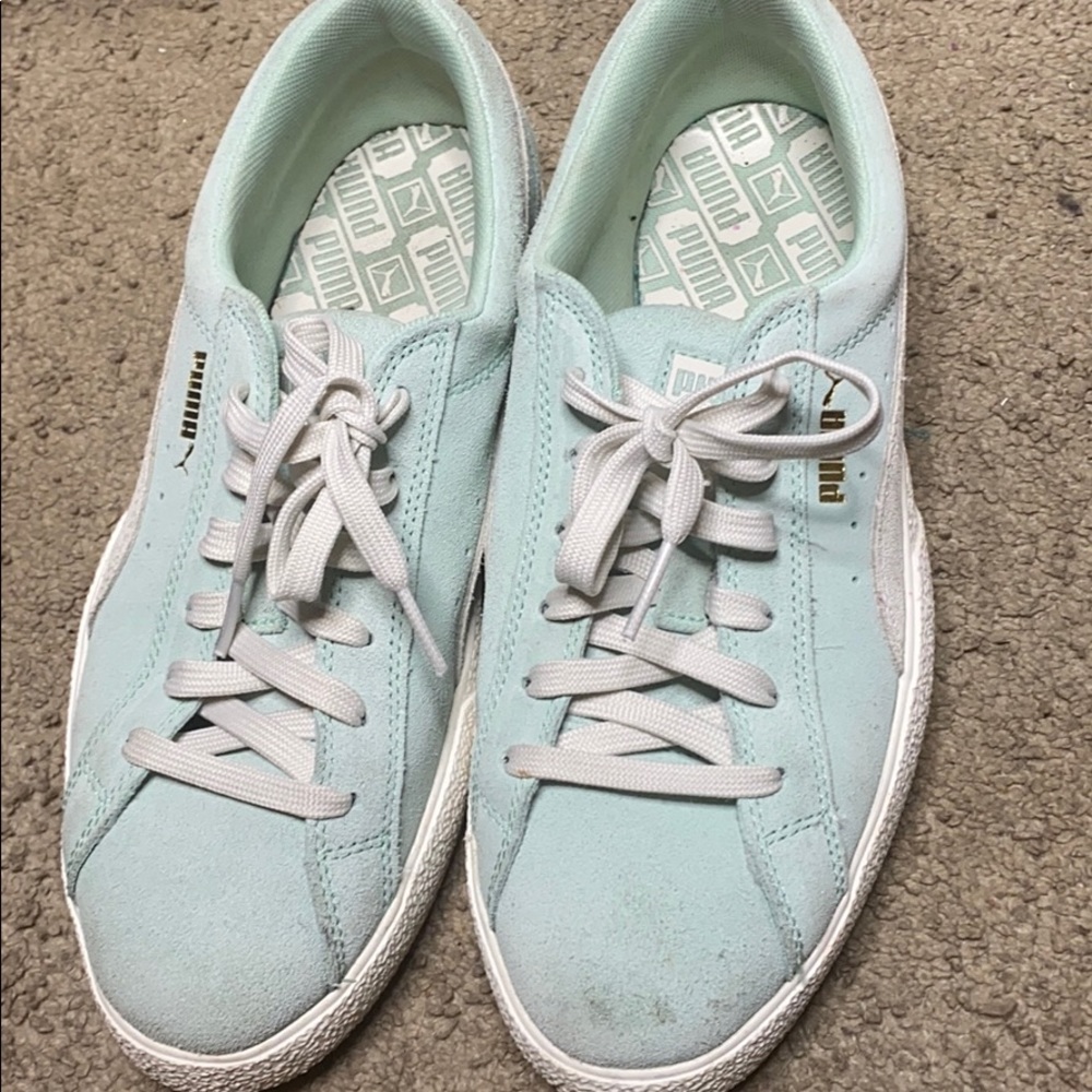 Teal pumas